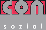 Logo consozial 2013